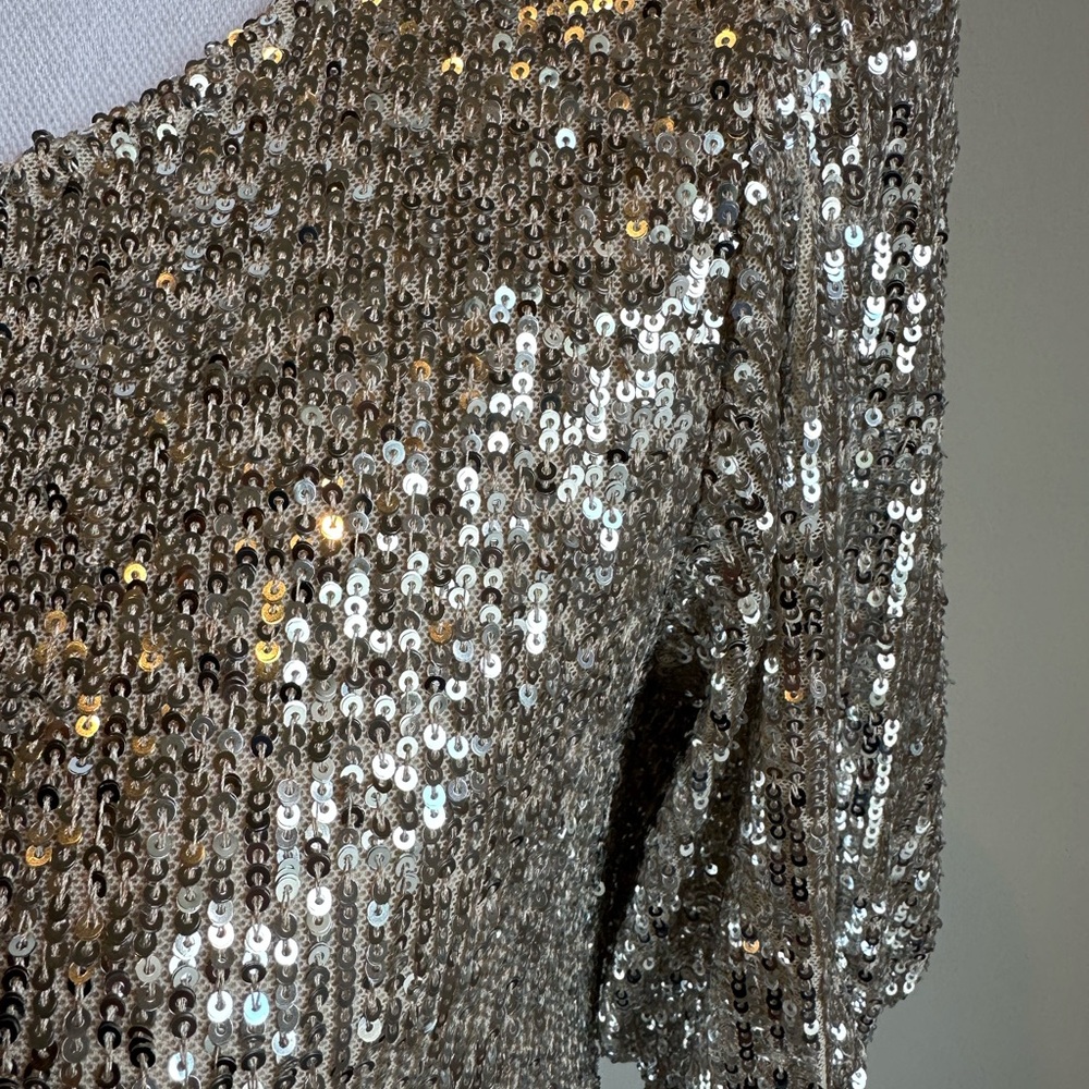 NWT Cable & Gauge Silver Sequin Top Small - Picture 3 of 7
